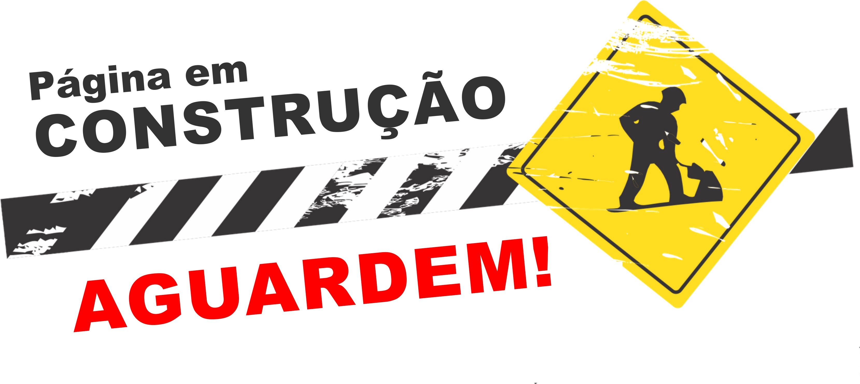TicGov - Em Construção